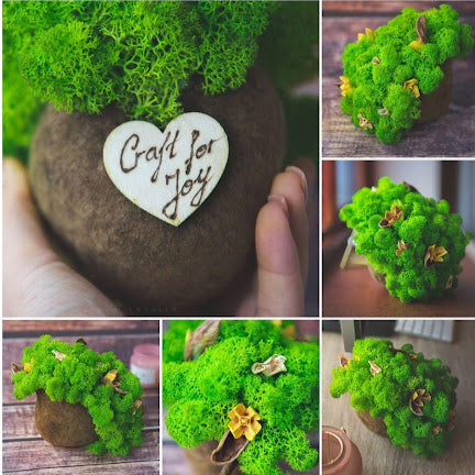 Decorurile cu licheni stabilizați