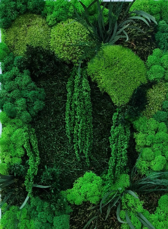 Cât costă un perete vegetal cu licheni, mușchi și plante stabilizate în România