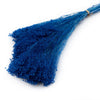 Incarcă imagine în Gallery viewer, Broom Bloom stabilizat, royal blue, H50cm
