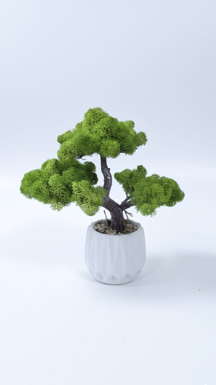 Bonsai cu licheni stabilizati decorativi