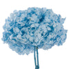 Incarcă imagine în Gallery viewer, Hortensie light blue D16-20cm
