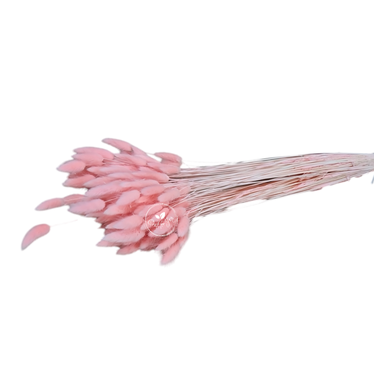 Lagurus roz deschis, aprox. 100g - craftforjoy.ro