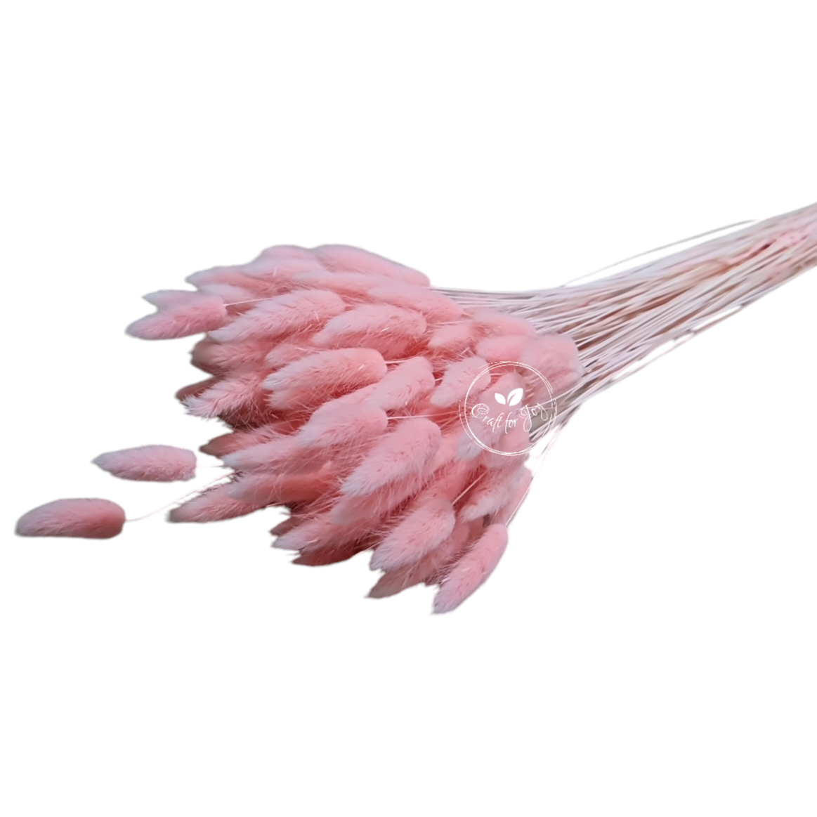 Lagurus roz deschis, aprox. 100g - craftforjoy.ro