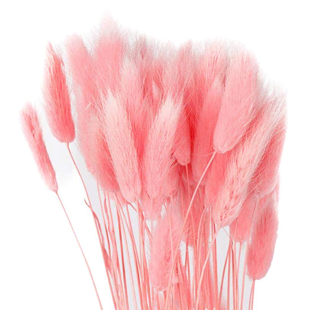 Lagurus roz deschis, aprox. 100g - craftforjoy.ro
