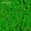 Incarcă imagine în Gallery viewer, licheni-stabilizati-light-green
