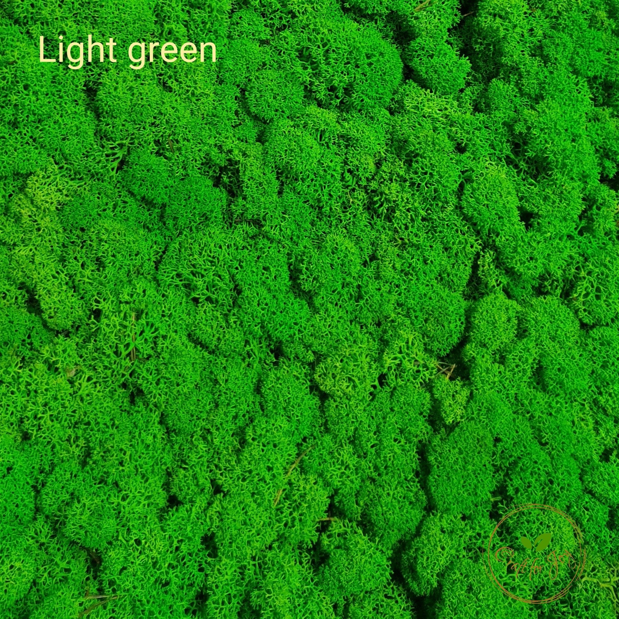 licheni-stabilizati-light-green