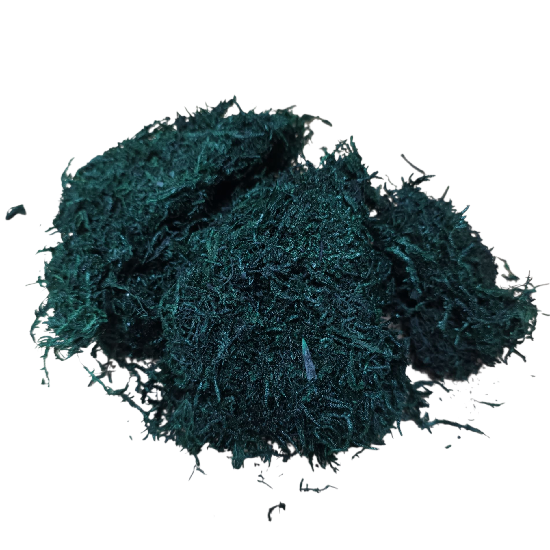 Muschi natural conservat