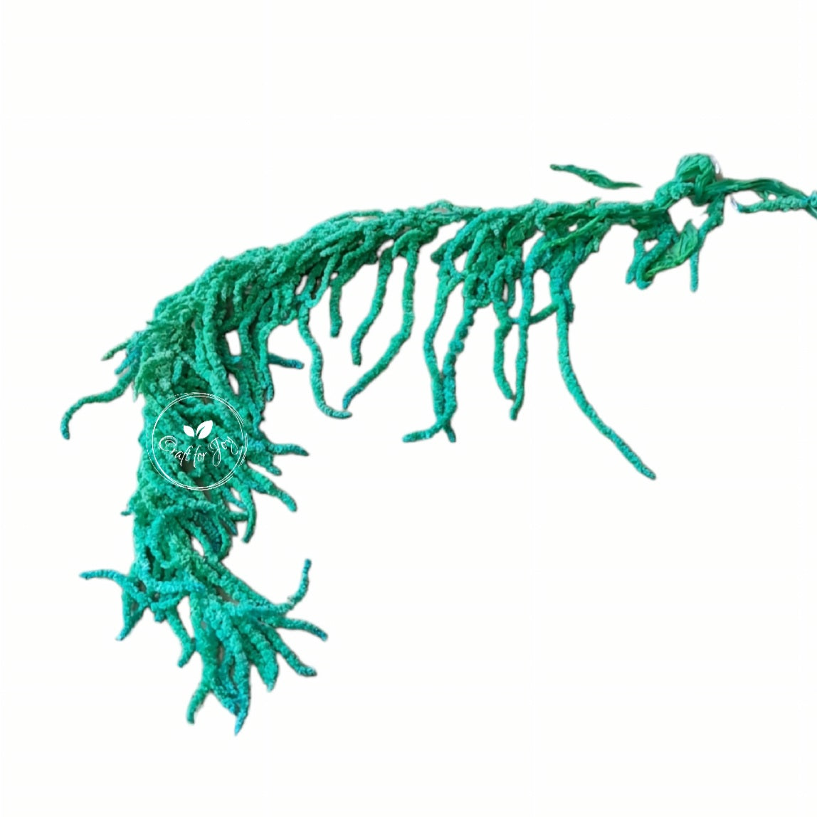 Amaranthus verde turcoaz uscat