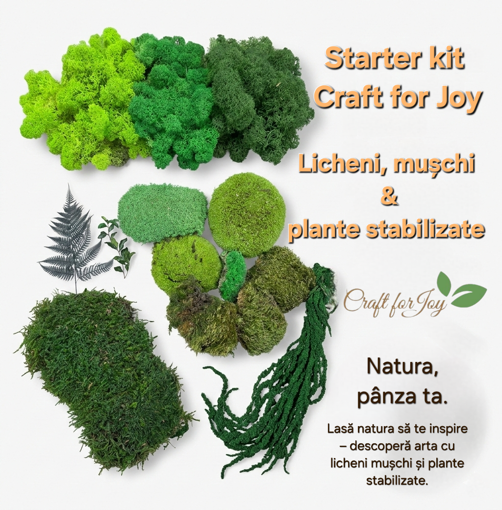 Starter Kit DIY Craft for Joy