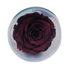 Incarcă imagine în Gallery viewer, Trandafiri conservați XL (6 cm)
