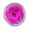 Incarcă imagine în Gallery viewer, Trandafiri conservați XL (6 cm)
