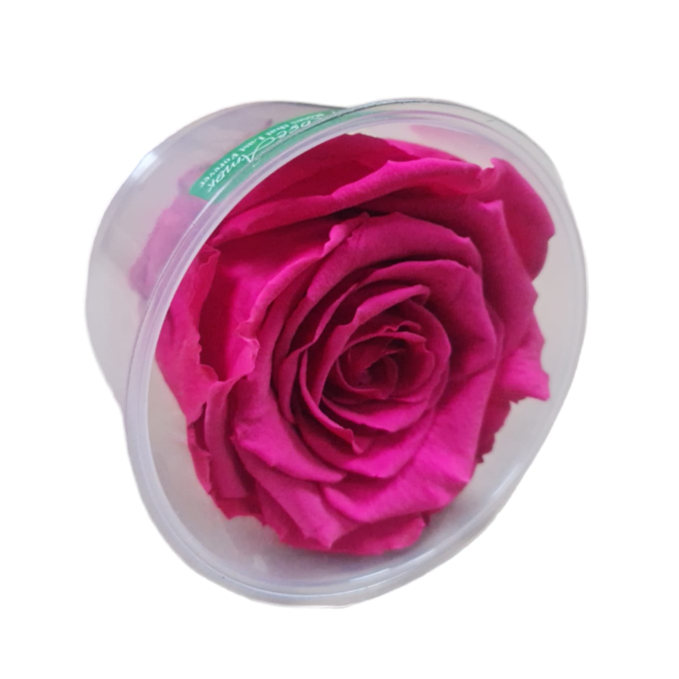 Trandafiri conservați XL (6 cm)