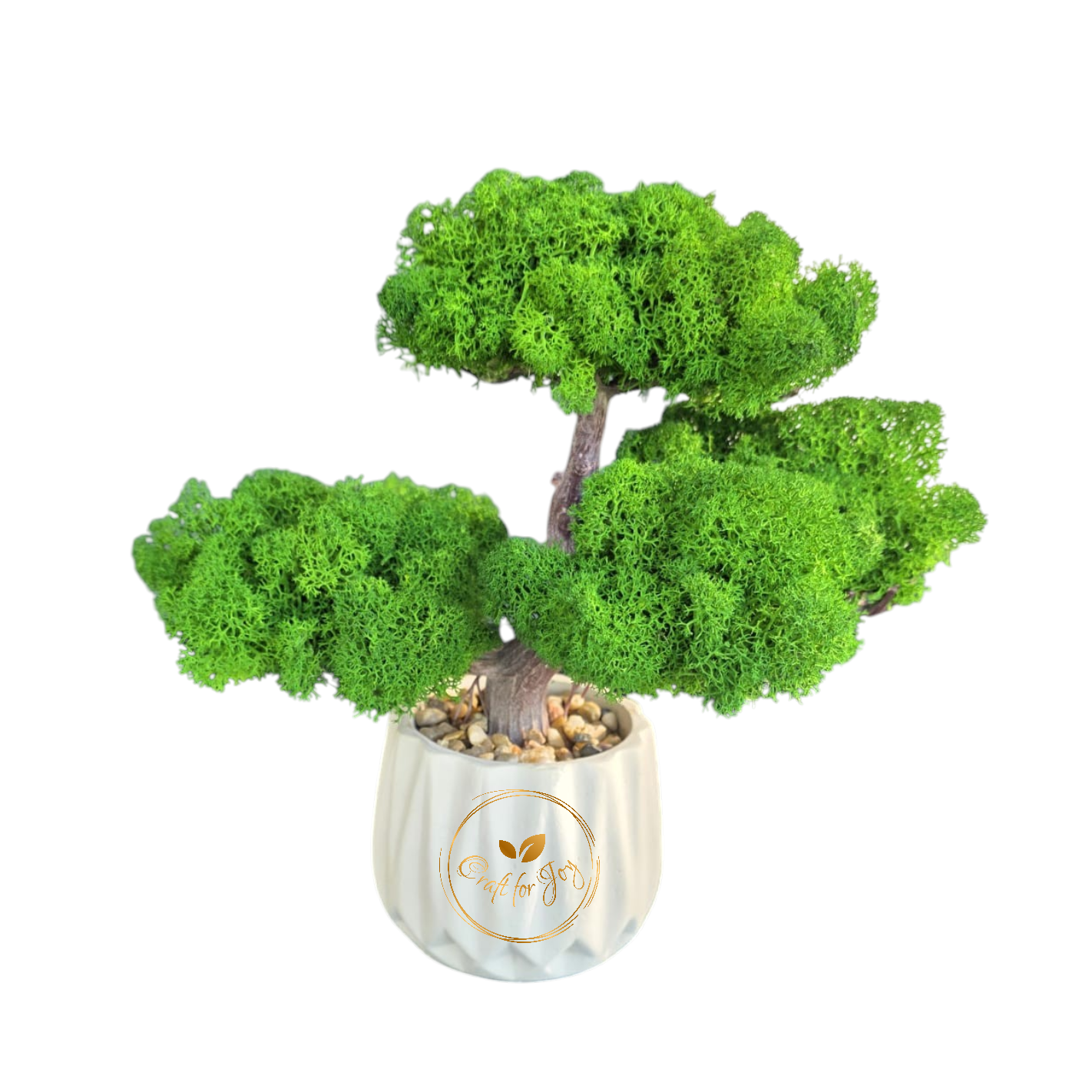Bonsai cu licheni stabilizati decorativi
