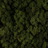 Incarcă imagine în Gallery viewer, Licheni stabilizati Moss Green
