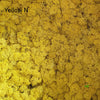 Incarcă imagine în Gallery viewer, Licheni stabilizati Yellow N
