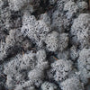 Incarcă imagine în Gallery viewer, Licheni-stabilizati-gri-antracit
