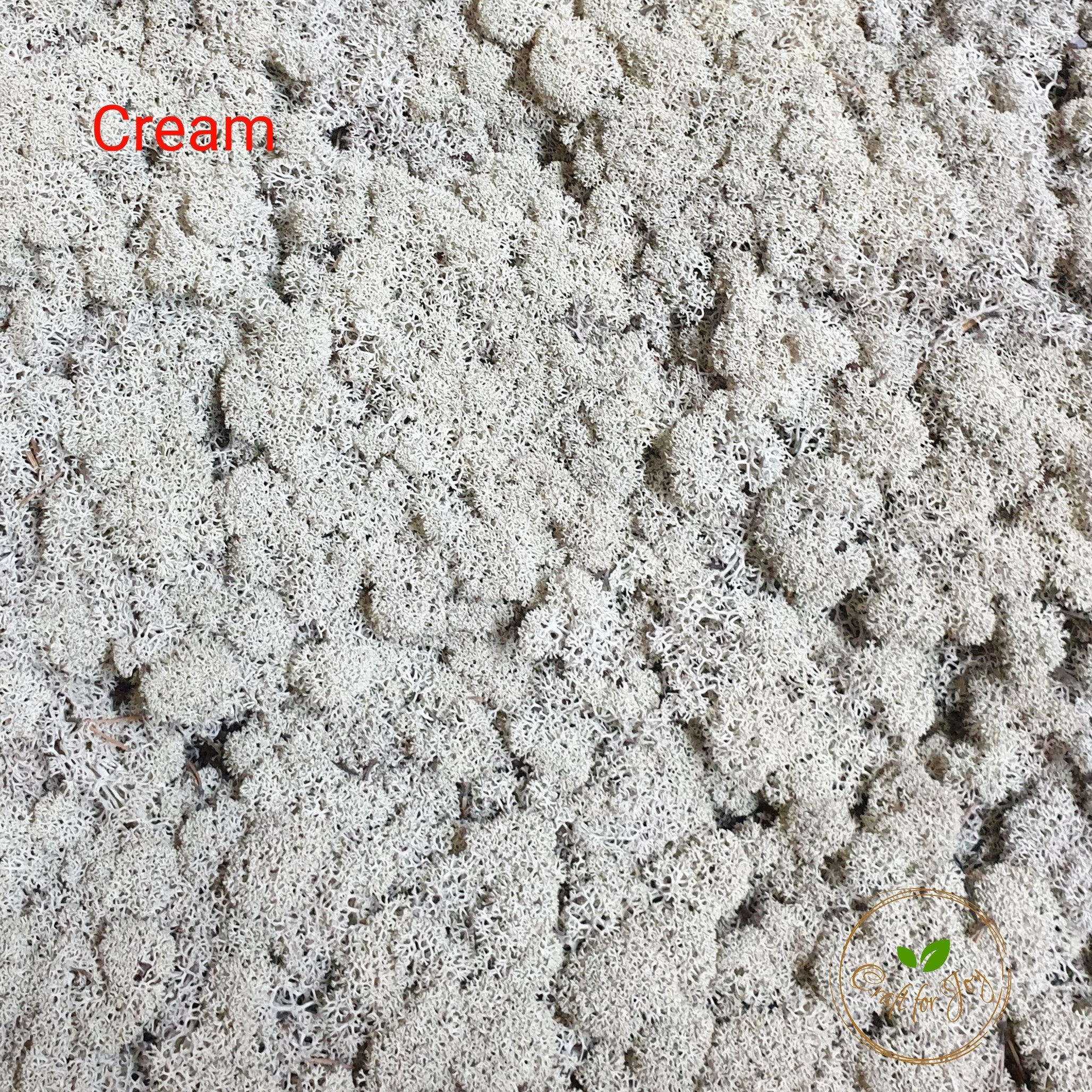 licheni-stabilizati-cream