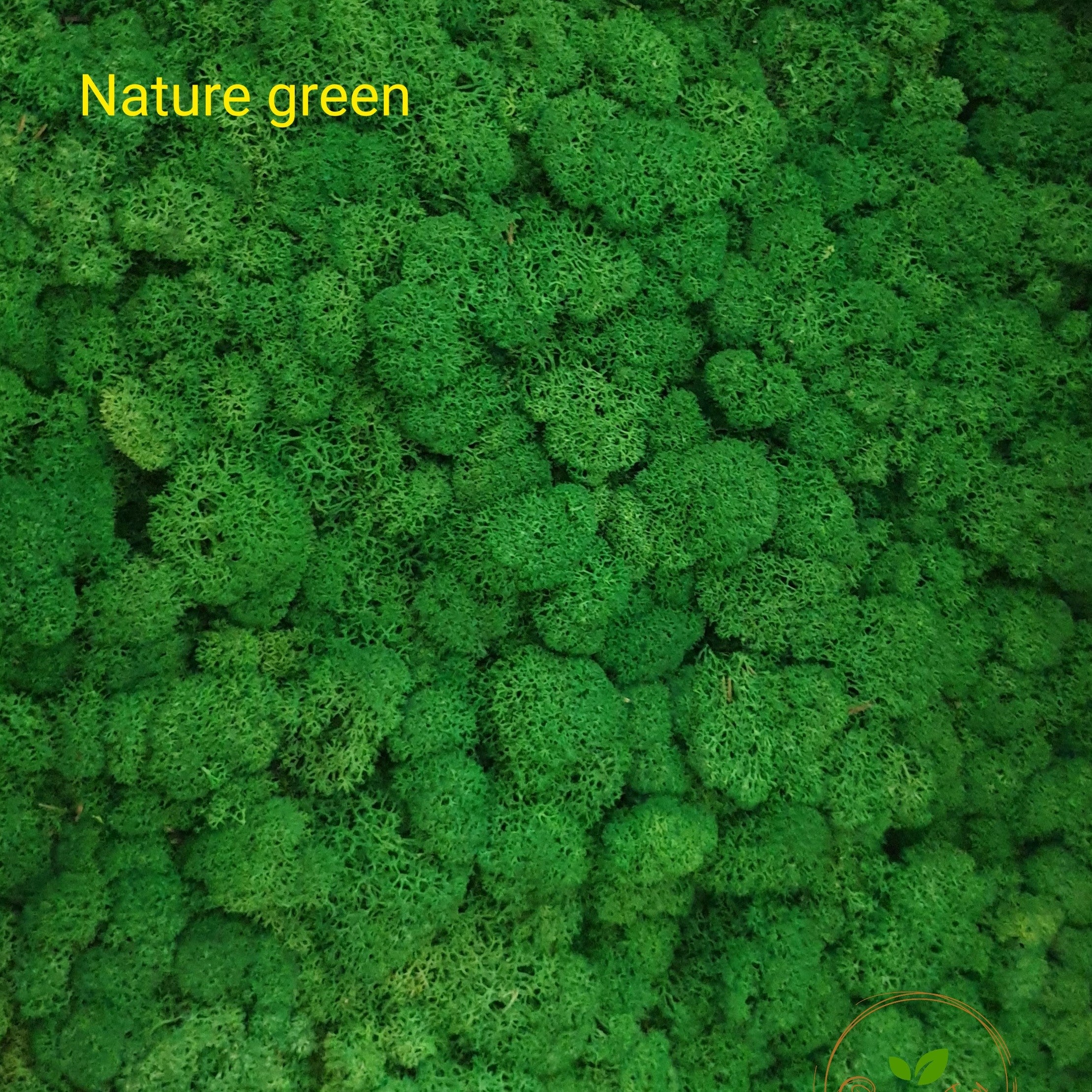 licheni-nature-green