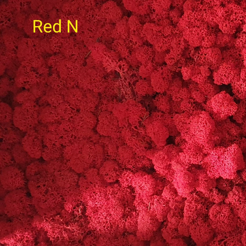 licheni-stabilizati-red-n