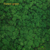 Incarcă imagine în Gallery viewer, Licheni stabilizati Forest Green
