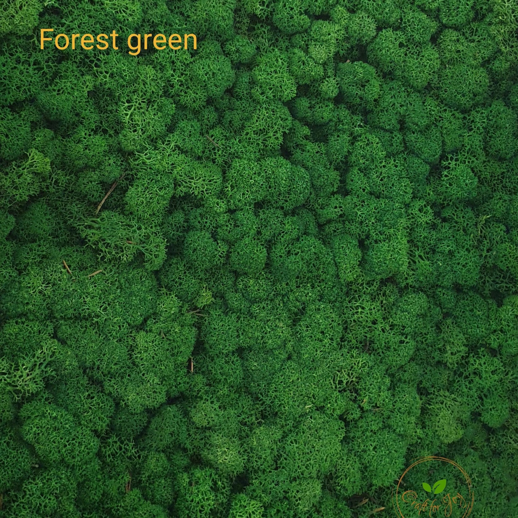 Licheni stabilizati Forest Green