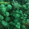 Incarcă imagine în Gallery viewer, Licheni stabilizati Grass Green
