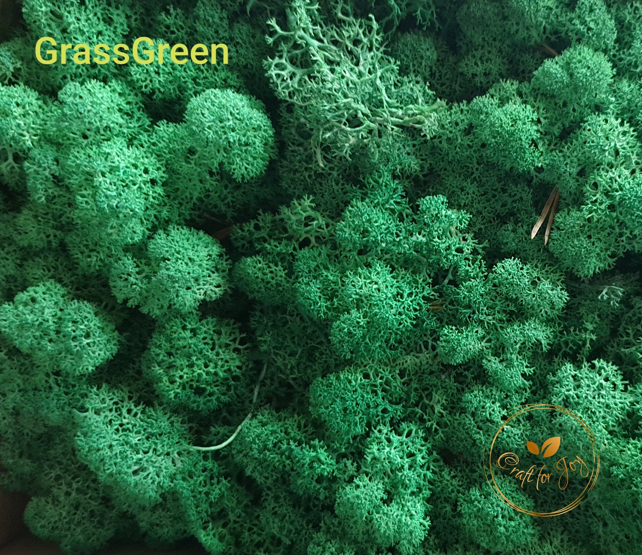 Licheni stabilizati Grass Green