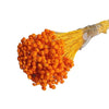 Incarcă imagine în Gallery viewer, Amarelino orange, H40-50cm
