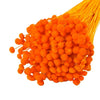 Incarcă imagine în Gallery viewer, Amarelino orange, H40-50cm
