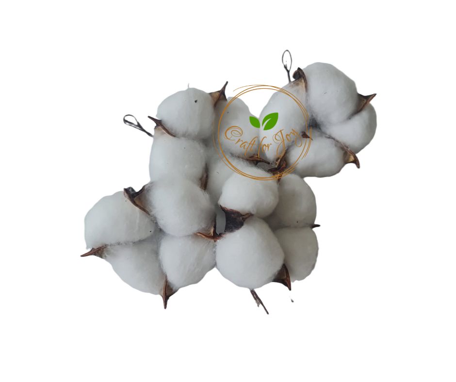 Floare de bumbac - alb