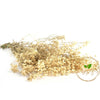 Incarcă imagine în Gallery viewer, Gypsophila Paniculata White/Cream, H60cm
