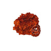 Incarcă imagine în Gallery viewer, HORTENSIE BURNT ORANGE D16-20cm
