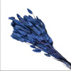 Incarcă imagine în Gallery viewer, Lagurus royal blue
