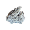 Incarcă imagine în Gallery viewer, Licheni stabilizati Lavender
