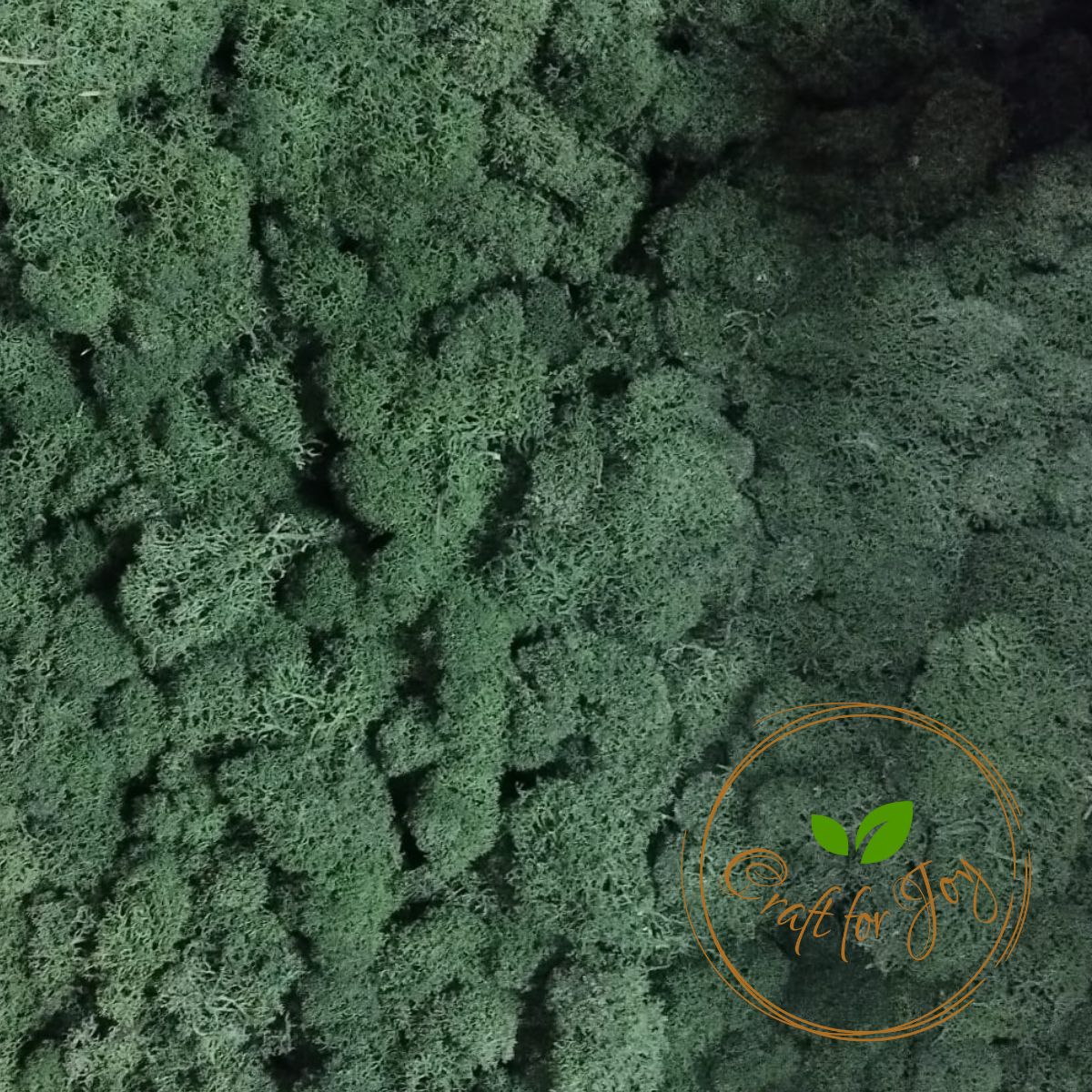licheni-precuratati-dark-green