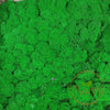 Incarcă imagine în Gallery viewer, Licheni Precurățați Green Apple

