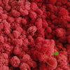 Incarcă imagine în Gallery viewer, licheni-precuratati-red
