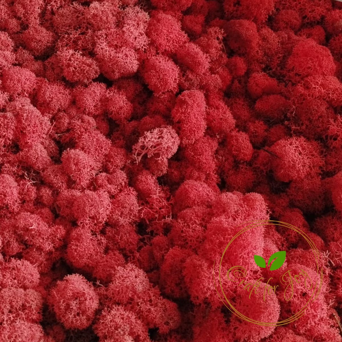 licheni-precuratati-red