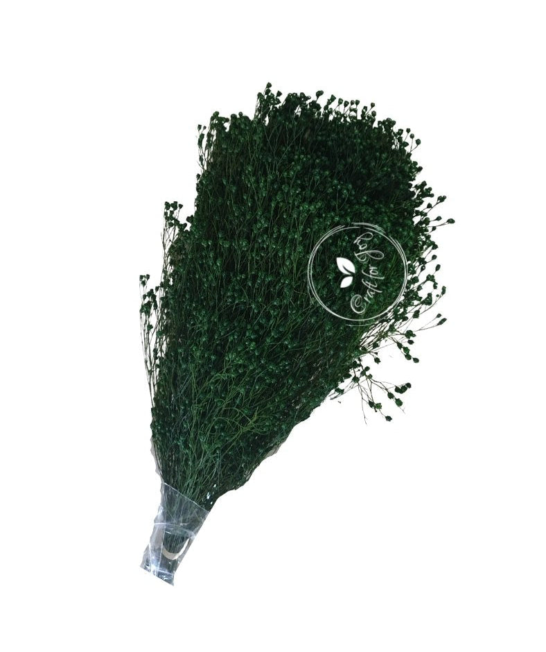 Broom Bloom Verde inchis, H 40-50cm - craftforjoy.ro
