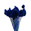 Incarcă imagine în Gallery viewer, Phalaris albastru inchis
