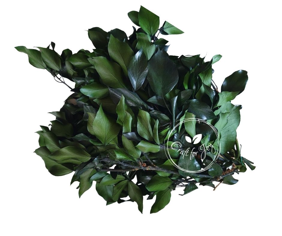 Iedera green 140g, H30-60cm