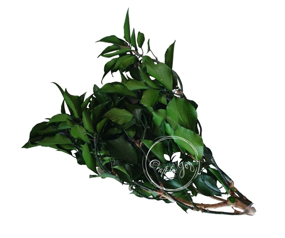 Iedera green 140g, H30-60cm