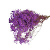 Incarcă imagine în Gallery viewer, Gypsophila Paniculata Purple, H60cm
