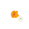 Incarcă imagine în Gallery viewer, Trandafiri conservați XS (2-2.5 cm)
