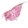 Incarcă imagine în Gallery viewer, Ruscus Roze, H70cm
