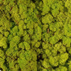 Incarcă imagine în Gallery viewer, licheni-stabilizati-spring-green
