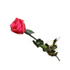 Incarcă imagine în Gallery viewer, Trandafiri conservați cu tijă H55xD4,5-6cm
