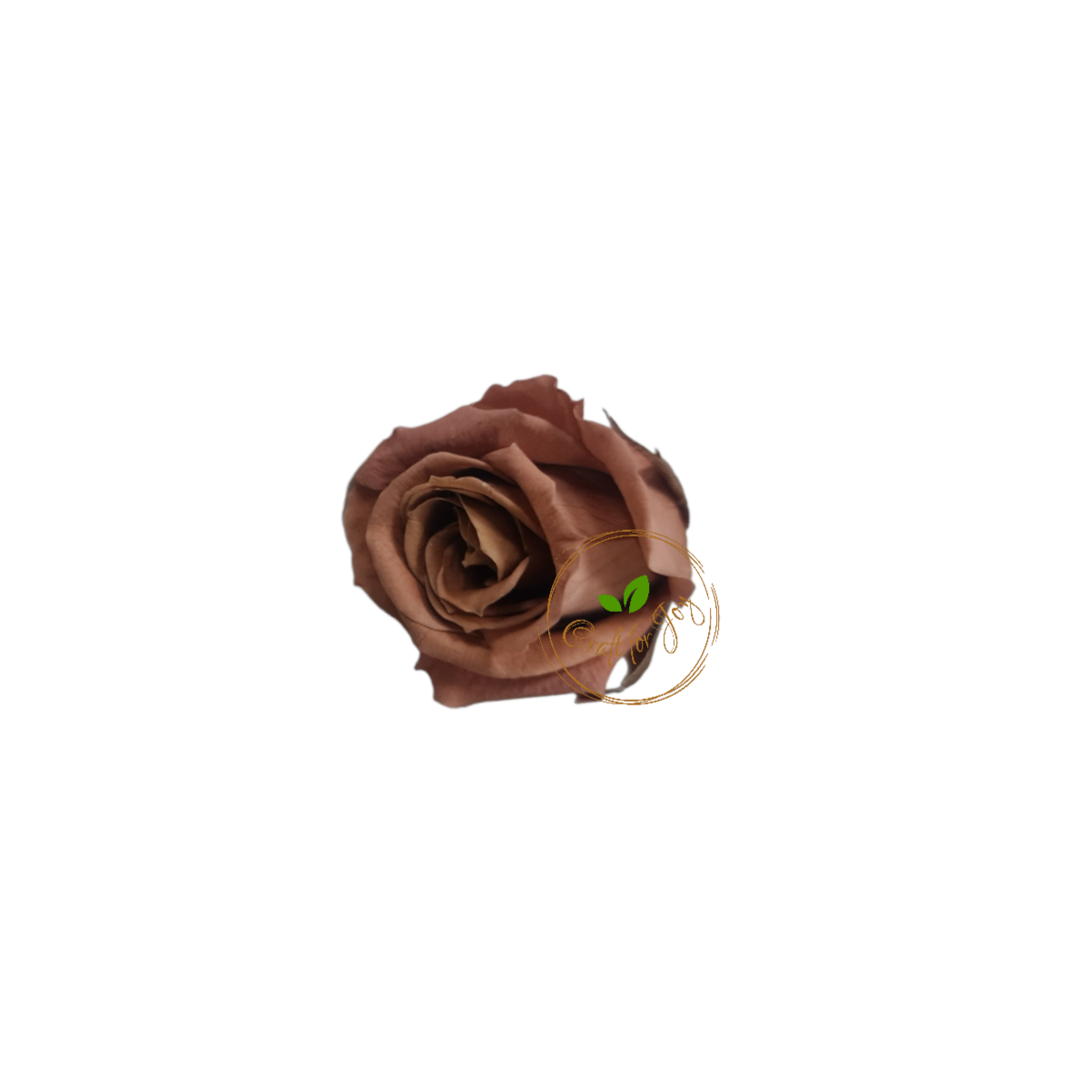 Trandafiri conservați M (3,5-4,5cm)