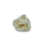 Incarcă imagine în Gallery viewer, Trandafiri conservați M (3,5-4,5cm)

