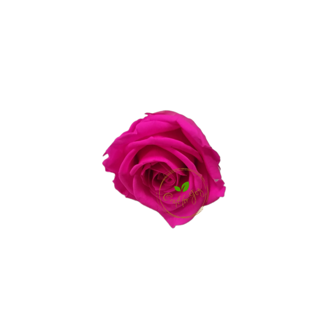 Trandafiri conservați M (3,5-4,5cm)